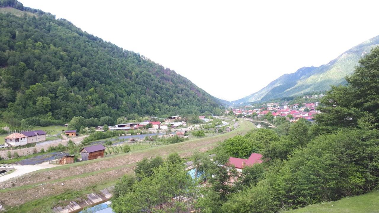 Affittacamere Casa Altfel Malaia