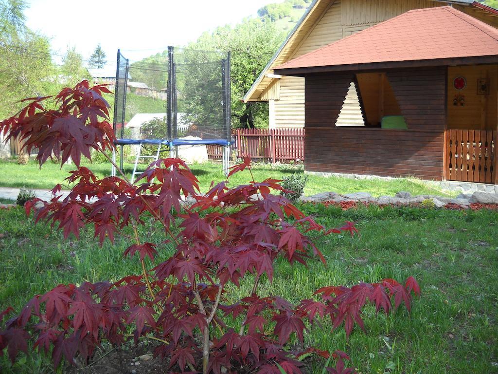 Casa Altfel 4* Malaia